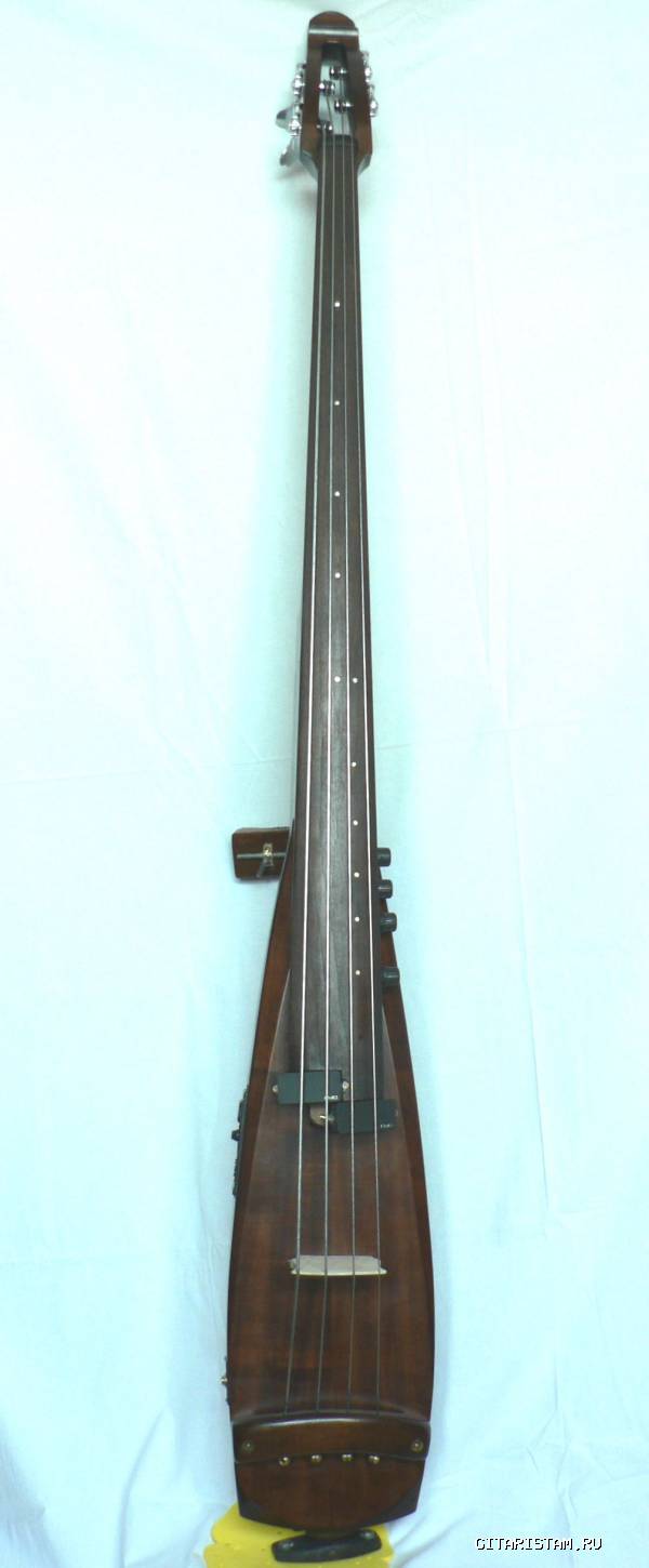 ELECTRIC UPRIGHT D-BASS () - 