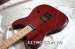 EDWARDS BY ESP E-D-85TE DIR EN GREY TELECASTER ()