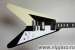 EDWARDS BY ESP E-FV-95 FLYING V M. SCHENKER   ()