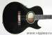 WASHBURN EA20 FESTIVAL SERIES 1992 ()
