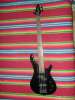 HARLEY BENTON – 4-х струнный безладовый бас + «тёплый» чехол в Питере (Санкт-Петербург)